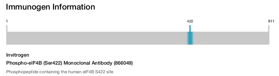 Phospho-eIF4B (Ser422) Monoclonal Antibody (866049)
