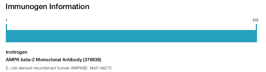 AMPK beta-2 Monoclonal Antibody (376938)