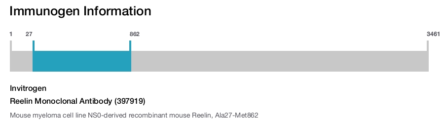 Reelin Monoclonal Antibody (397919)