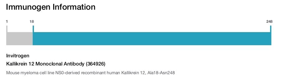 Kallikrein 12 Monoclonal Antibody (364926)