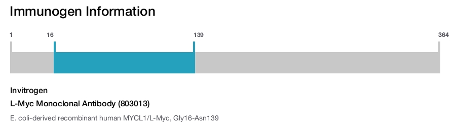 L-Myc Monoclonal Antibody (803013)