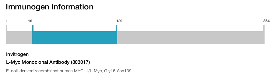 L-Myc Monoclonal Antibody (803017)