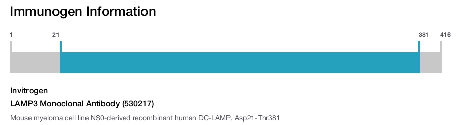 LAMP3 Monoclonal Antibody (530217)