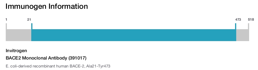 BACE2 Monoclonal Antibody (391017)