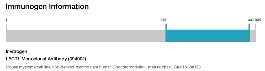 LECT1 Monoclonal Antibody (394002)