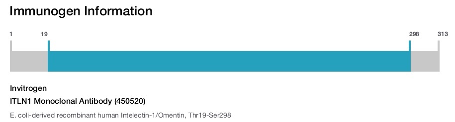 ITLN1 Monoclonal Antibody (450520)