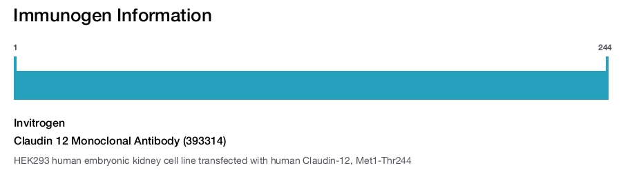 Claudin 12 Monoclonal Antibody (393314)