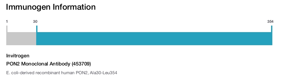 PON2 Monoclonal Antibody (453709)