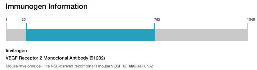 VEGF Receptor 2 Monoclonal Antibody (91202)