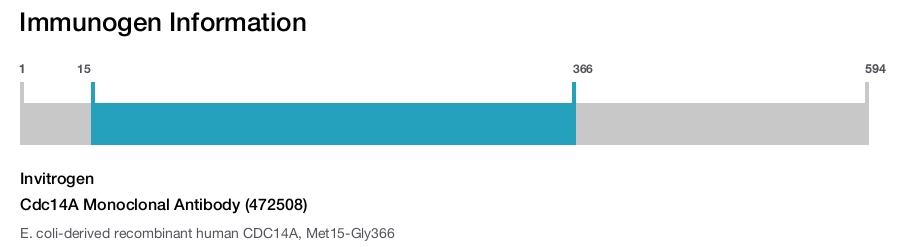 Cdc14A Monoclonal Antibody (472508)