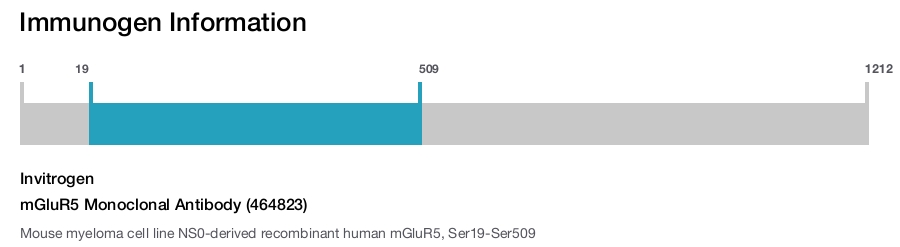 mGluR5 Monoclonal Antibody (464823)