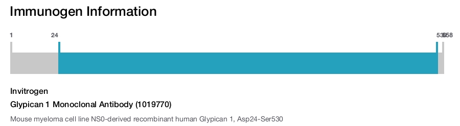Glypican 1 Monoclonal Antibody (1019770)