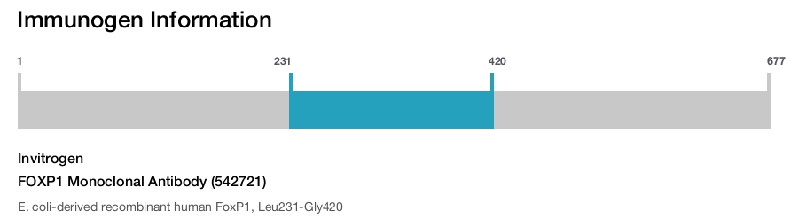 FOXP1 Monoclonal Antibody (542721)
