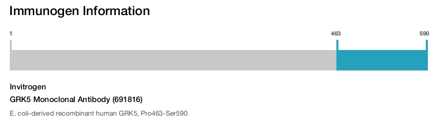 GRK5 Monoclonal Antibody (691816)