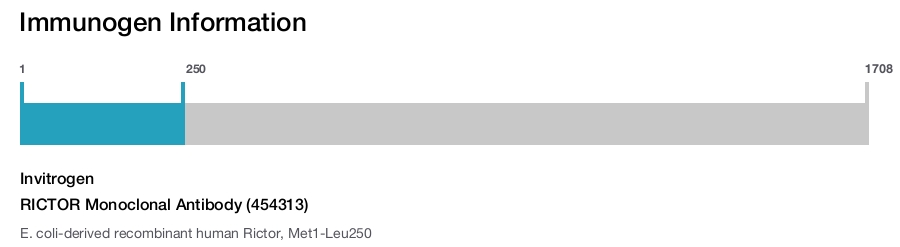 RICTOR Monoclonal Antibody (454313)