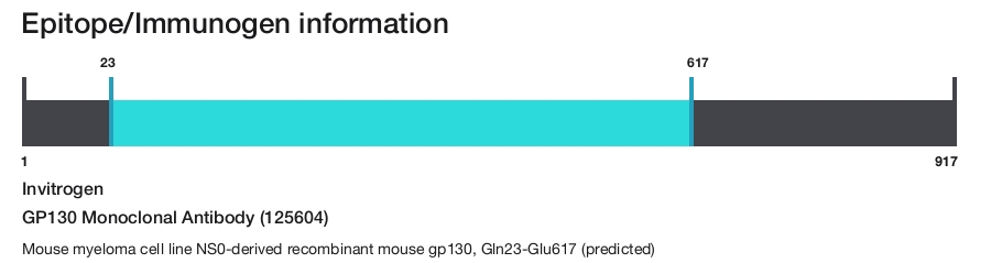 GP130 Monoclonal Antibody (125604)
