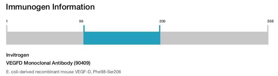 VEGFD Monoclonal Antibody (90409)