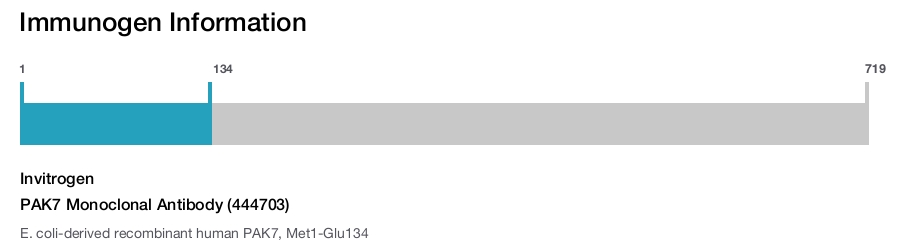PAK7 Monoclonal Antibody (444703)