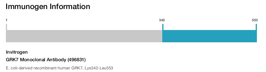 GRK7 Monoclonal Antibody (496831)