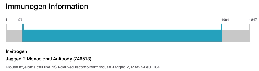 Jagged 2 Monoclonal Antibody (746513)