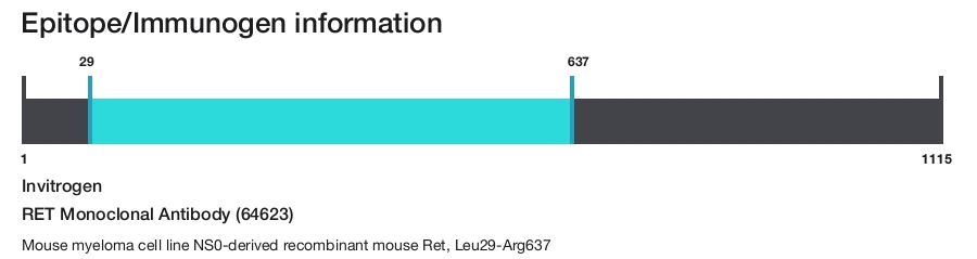 RET Monoclonal Antibody (64623)