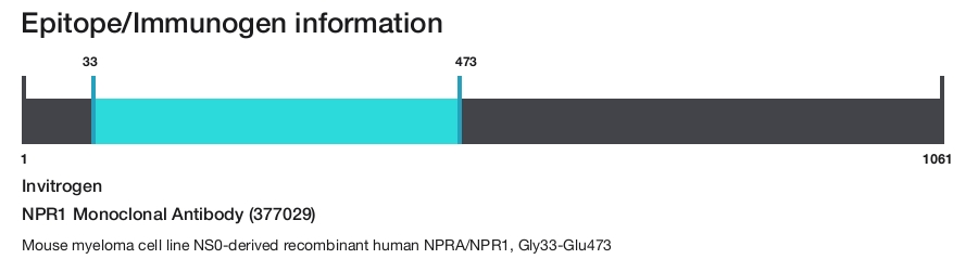NPR1 Monoclonal Antibody (377029)