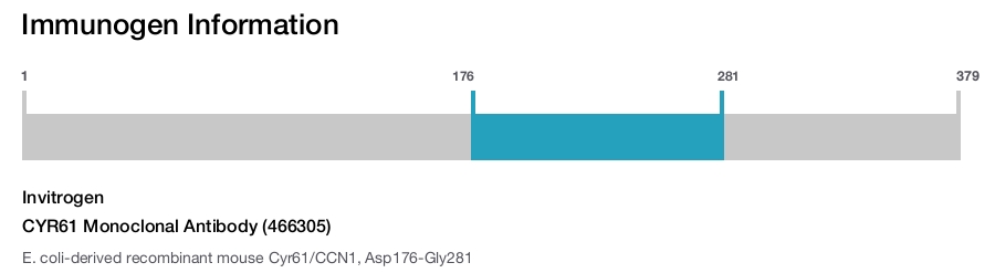 CYR61 Monoclonal Antibody (466305)