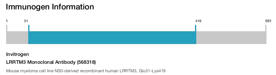 LRRTM3 Monoclonal Antibody (568318)