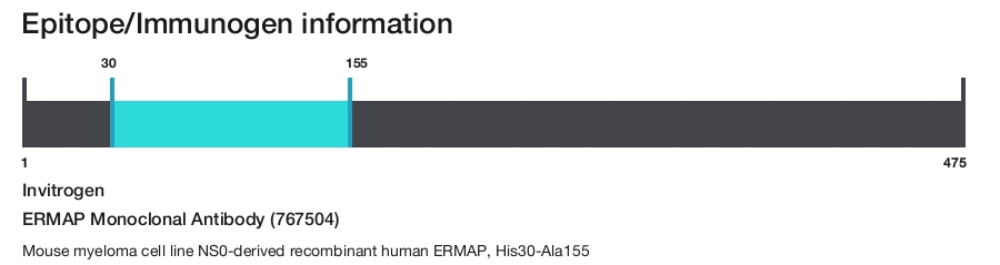 ERMAP Monoclonal Antibody (767504)