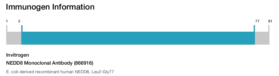 NEDD8 Monoclonal Antibody (866916)