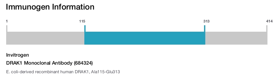 DRAK1 Monoclonal Antibody (684324)