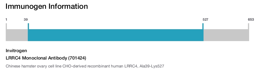 LRRC4 Monoclonal Antibody (701424)