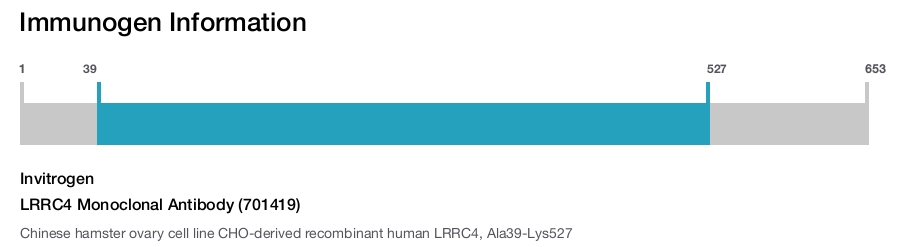 LRRC4 Monoclonal Antibody (701419)