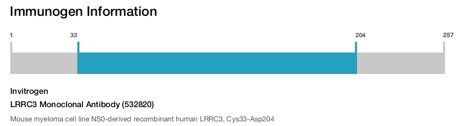 LRRC3 Monoclonal Antibody (532820)