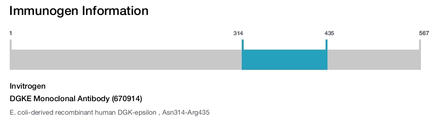 DGKE Monoclonal Antibody (670914)