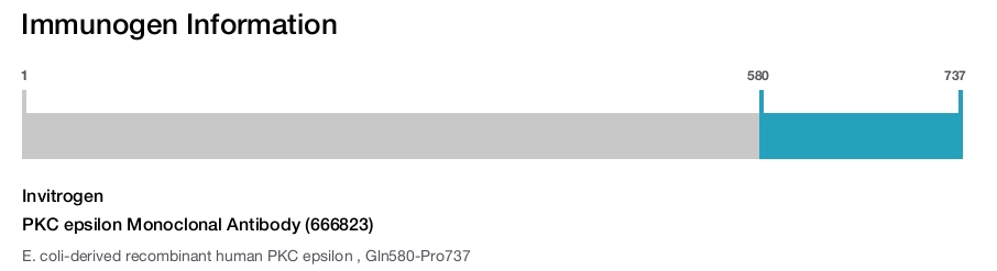 PKC epsilon Monoclonal Antibody (666823)