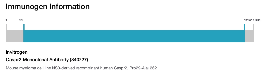 Caspr2 Monoclonal Antibody (840727)