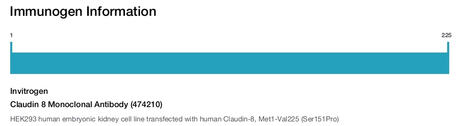 Claudin 8 Monoclonal Antibody (474210)