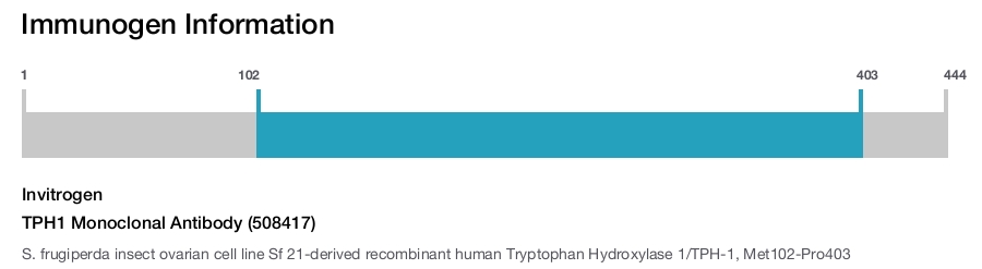 TPH1 Monoclonal Antibody (508417)