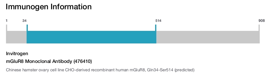 mGluR8 Monoclonal Antibody (476410)