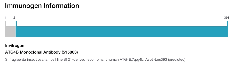 ATG4B Monoclonal Antibody (515803)