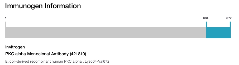 PKC alpha Monoclonal Antibody (421810)