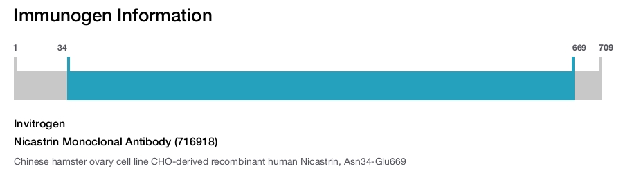 Nicastrin Monoclonal Antibody (716918)