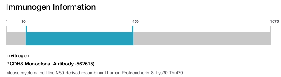 PCDH8 Monoclonal Antibody (562615)