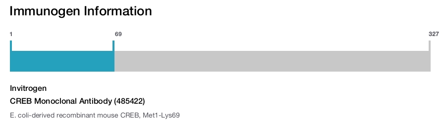 CREB Monoclonal Antibody (485422)