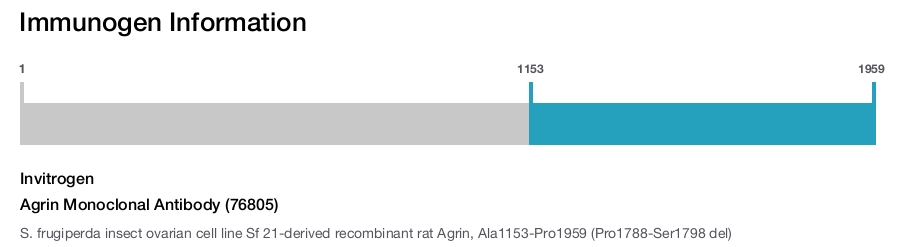Agrin Monoclonal Antibody (76805)
