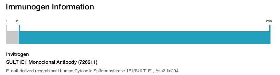 SULT1E1 Monoclonal Antibody (726211)