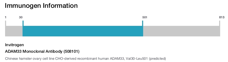 ADAM33 Monoclonal Antibody (508101)