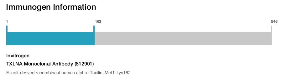 TXLNA Monoclonal Antibody (812901)