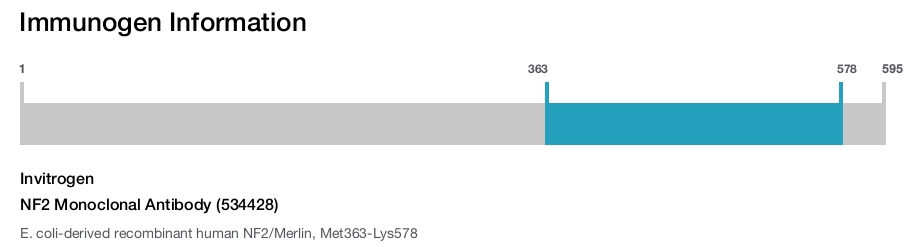 NF2 Monoclonal Antibody (534428)